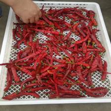 小型花椒烘干機(jī)      電加熱花椒烘干機(jī)