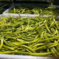 黃花菜烘干機(jī)